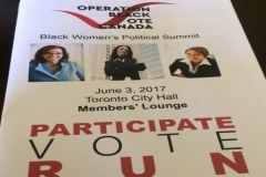 OBVC - Women's Summit 2017 - Flyer